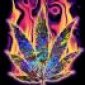Avatar indica