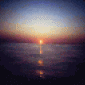 Avatar Little_Sunshine
