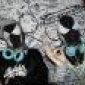 Avatar troudaboer