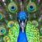 Avatar post4peet