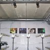 Foto Willem Twee poppodium Den Bosch