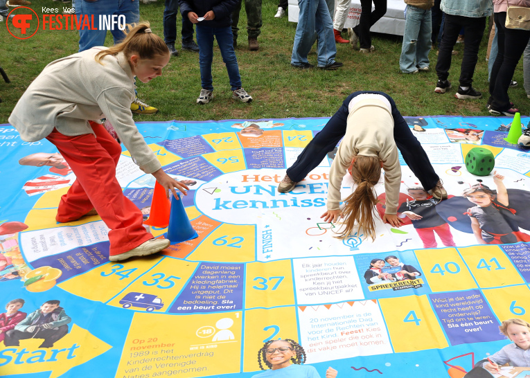 Bevrijdingsfestival Brabant 2025 foto