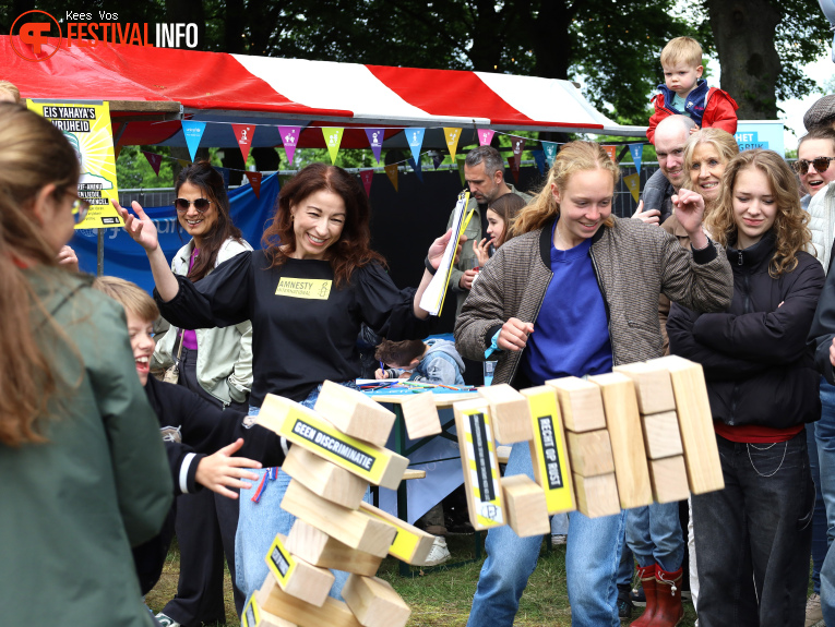 Bevrijdingsfestival Brabant 2025 foto
