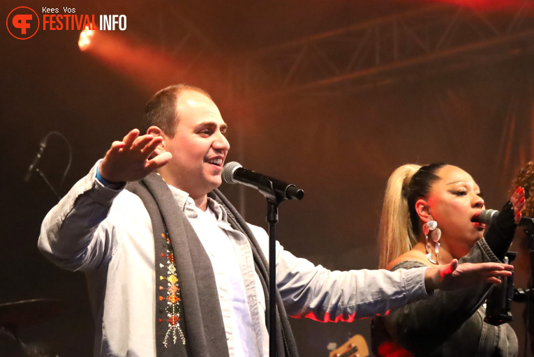 De Niemanders op Bevrijdingsfestival Brabant 2025 foto