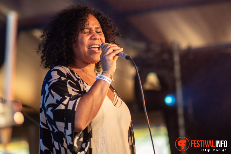 Zuco 103 op Bevrijdingsfestival Overijssel 2025 foto