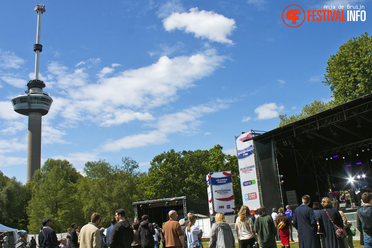 Bevrijdingsfestival Zuid-Holland 2025 foto