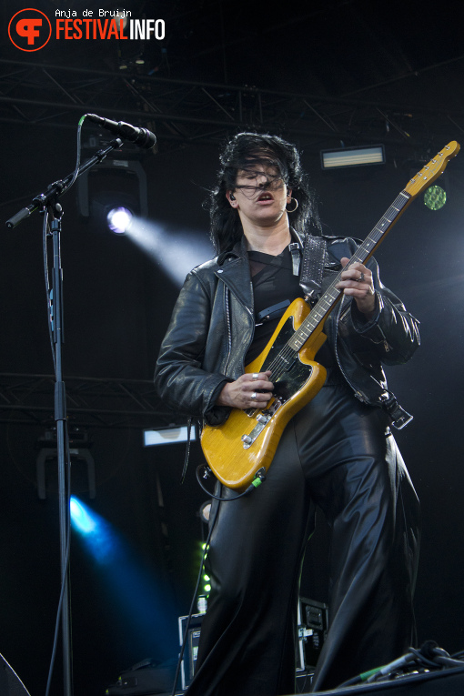 Dool op Bevrijdingsfestival Zuid-Holland 2025 foto