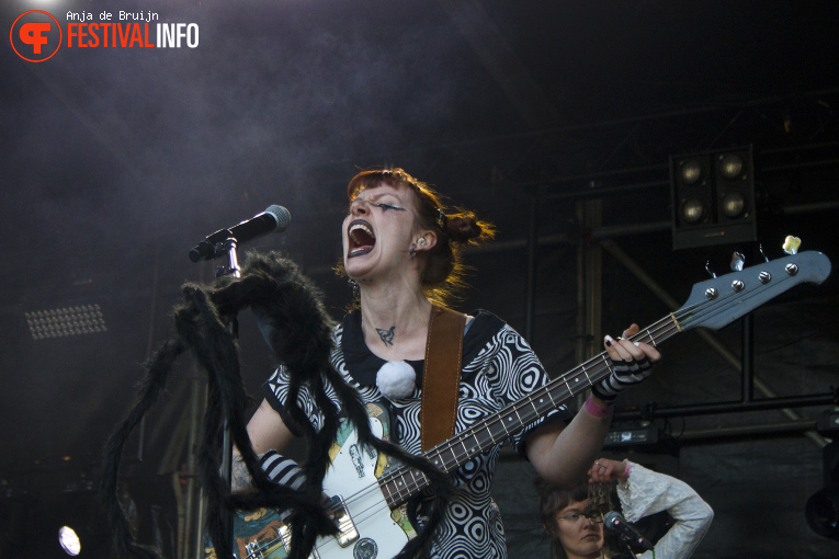L'orne op Bevrijdingsfestival Zuid-Holland 2025 foto