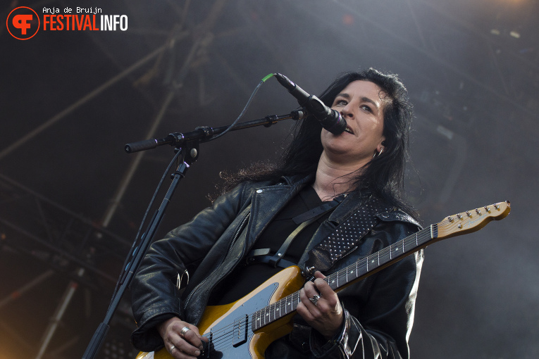 Dool op Bevrijdingsfestival Zuid-Holland 2025 foto