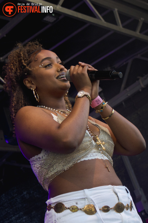 Bevrijdingsfestival Zuid-Holland 2025 foto