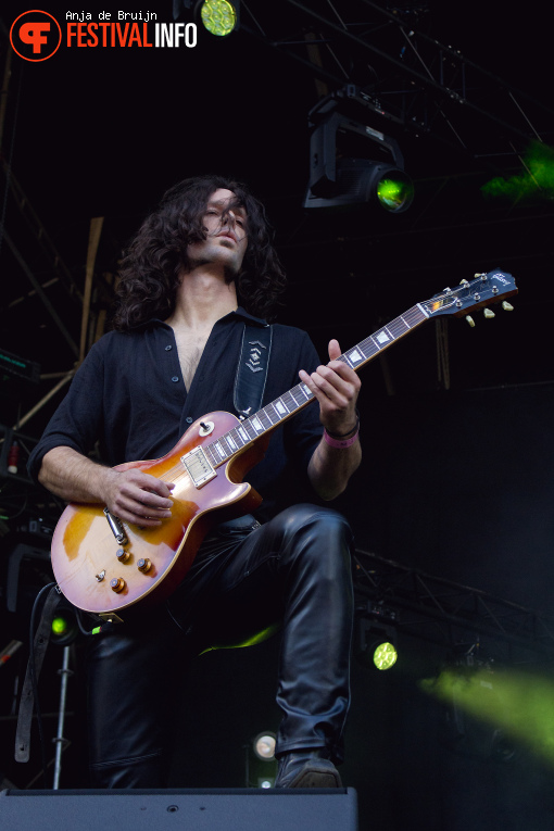 Dool op Bevrijdingsfestival Zuid-Holland 2025 foto