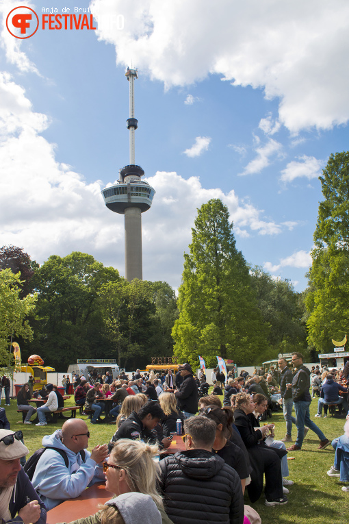 Bevrijdingsfestival Zuid-Holland 2025 foto