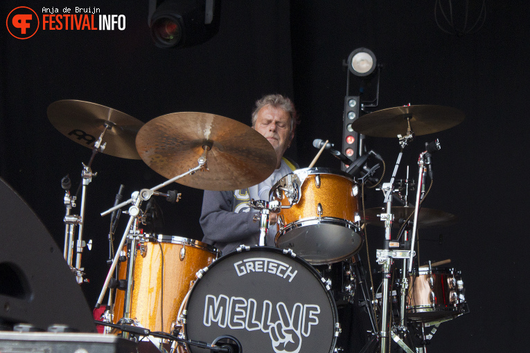Mell VF op Bevrijdingsfestival Zuid-Holland 2025 foto