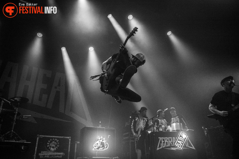 Zebrahead op Slam Dunk Festival Netherlands 2025 foto