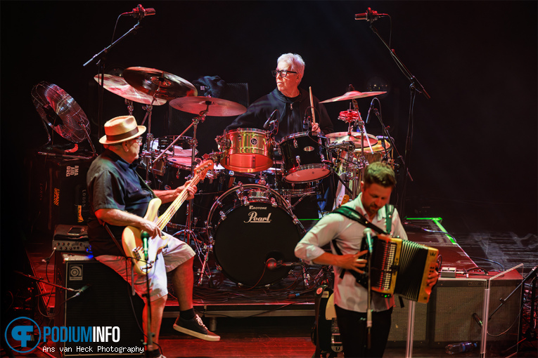 Los Lobos op Los Lobos - 05/06 - TivoliVredenburg foto