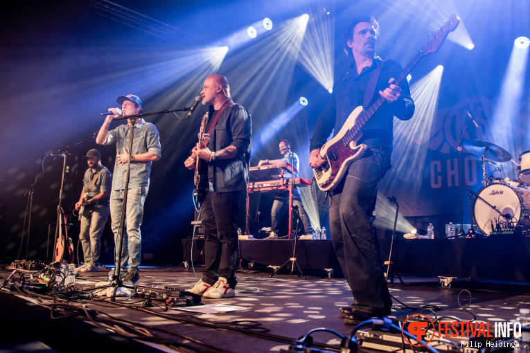K's Choice op Blues Peer 2025 foto