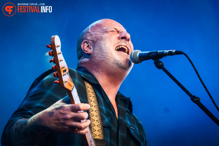 Bløf op Dauwpop 2025 foto