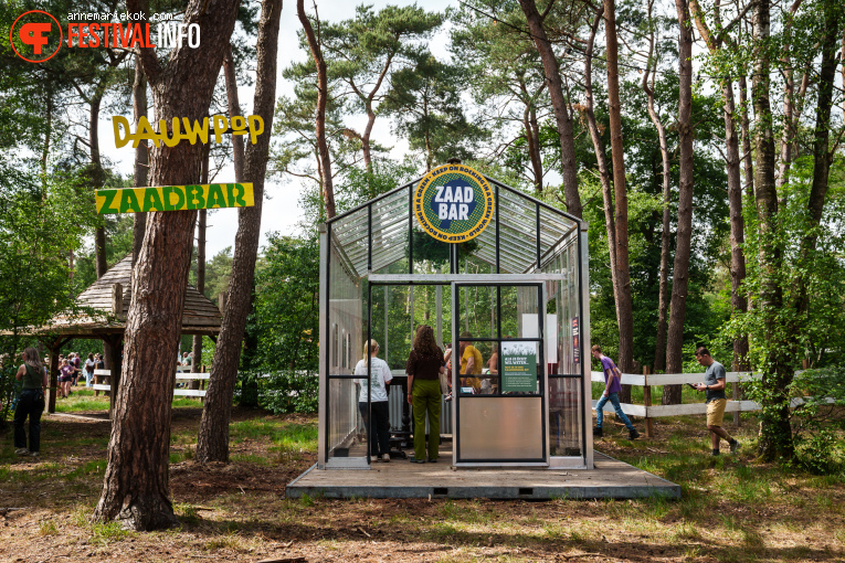 Dauwpop 2025 foto