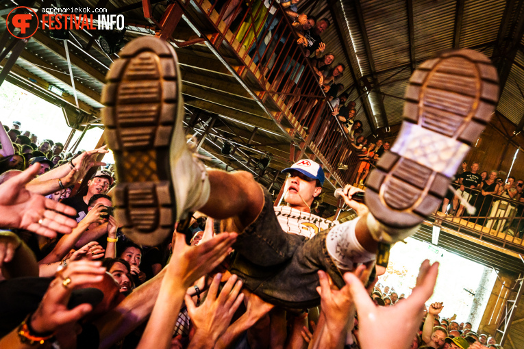 Stone op Dauwpop 2025 foto