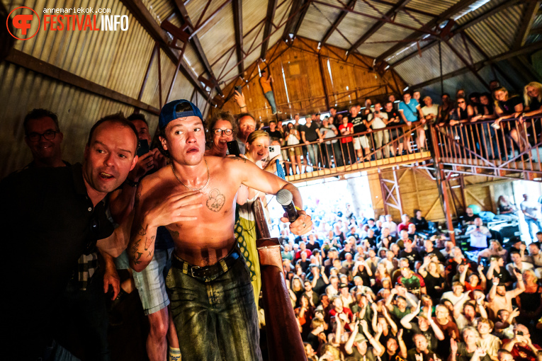 Stone op Dauwpop 2025 foto