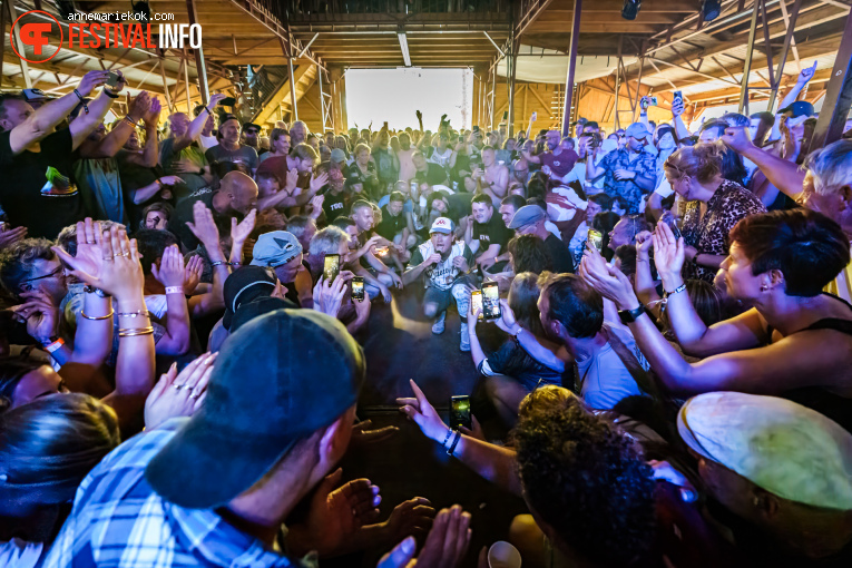 Stone op Dauwpop 2025 foto