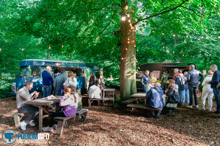 Zuiderpark Live: Young Gun Silver Fox - 08/06 - Zuiderparktheater foto
