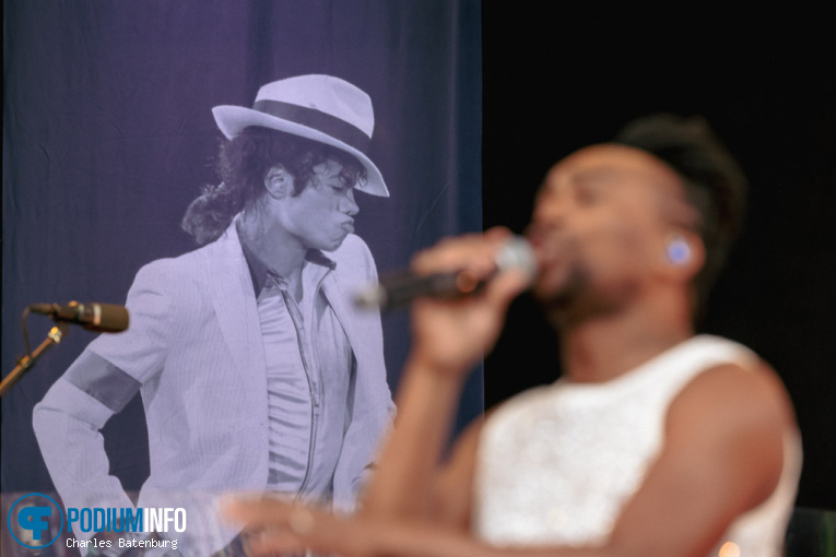 The Legends We've Lost op Zuiderpark Live: The Legends We’ve Lost - 15/06 - Zuiderparktheater foto