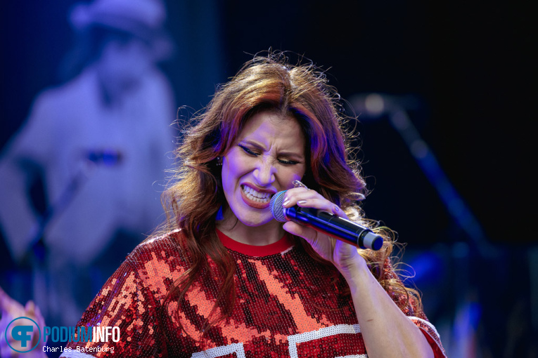 The Legends We've Lost op Zuiderpark Live: The Legends We’ve Lost - 15/06 - Zuiderparktheater foto