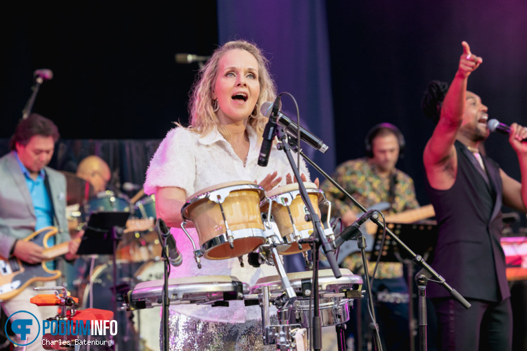 The Legends We've Lost op Zuiderpark Live: The Legends We’ve Lost - 15/06 - Zuiderparktheater foto