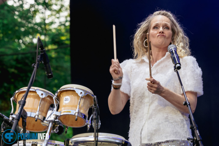The Legends We've Lost op Zuiderpark Live: The Legends We’ve Lost - 15/06 - Zuiderparktheater foto