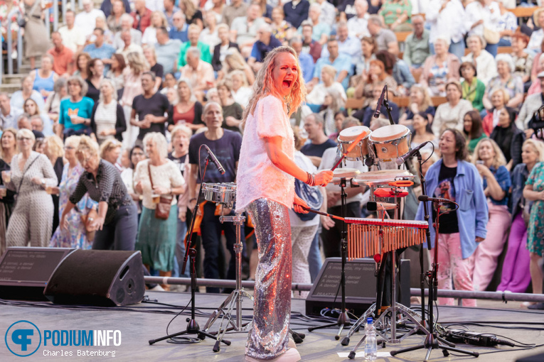 The Legends We've Lost op Zuiderpark Live: The Legends We’ve Lost - 15/06 - Zuiderparktheater foto