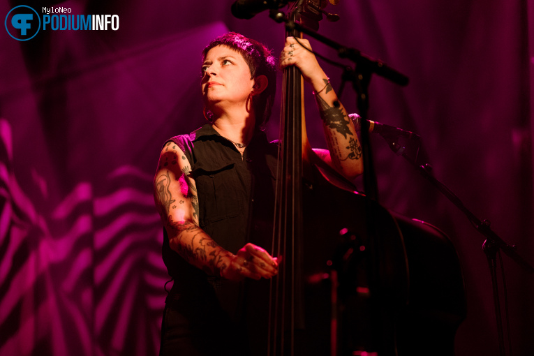 The Devil Makes Three op The Devil Makes Three - 03/07 - Melkweg foto
