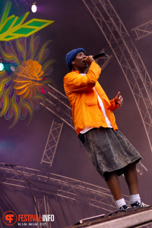 Dio (Diorno Braaf) op Wilde Weide 2025 foto