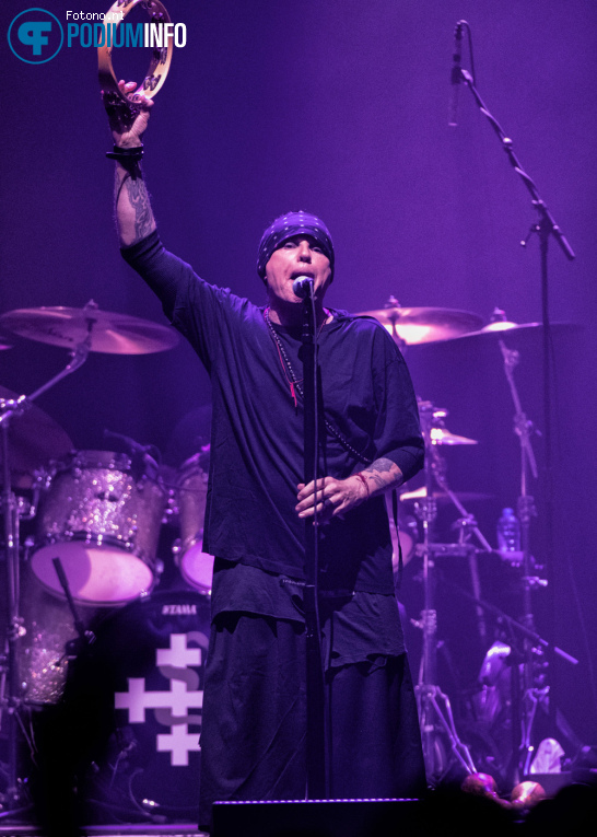 The Cult op The Cult - 24/06 - AFAS Live foto