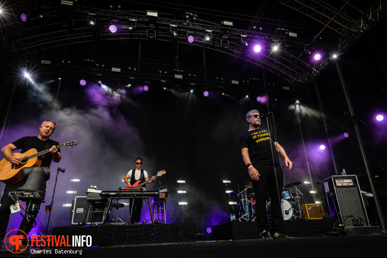 Racoon op Spoorpark LIVE 2025 foto