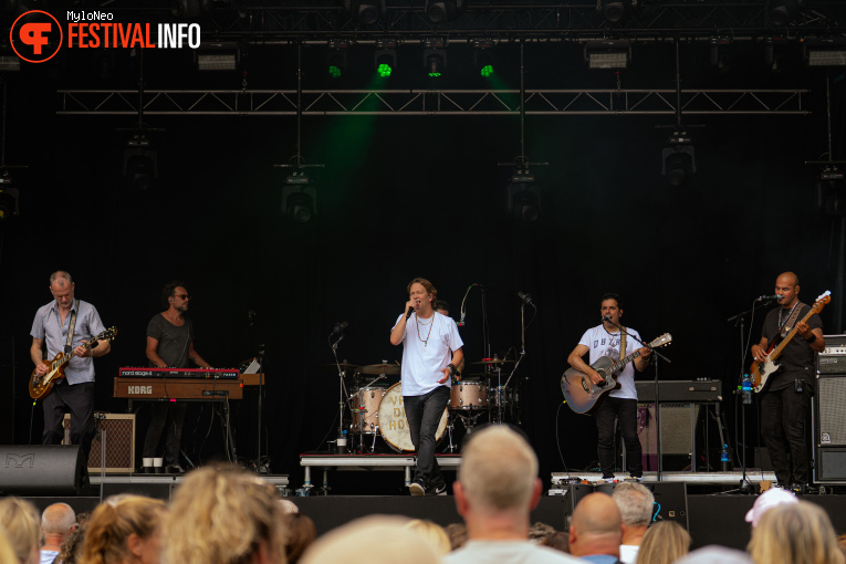 Van Dik Hout op Reuring Festival 2025 foto