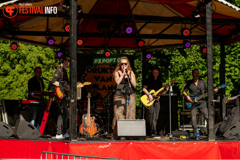 Drukte van Belang  op Reuring Festival 2025 foto