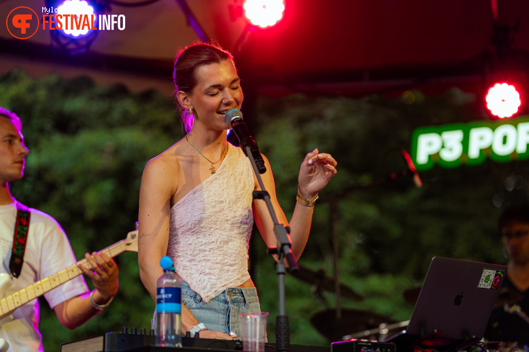 Sunlight Echoes op Reuring Festival 2025 foto