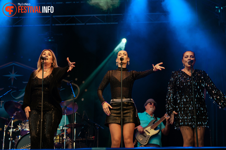 Mr. Jones & Just in Case op Reuring Festival 2025 foto