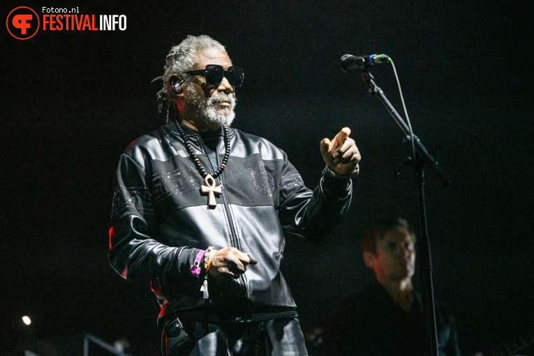 Massive Attack op Down the Rabbit Hole 2025 - Vrijdag foto