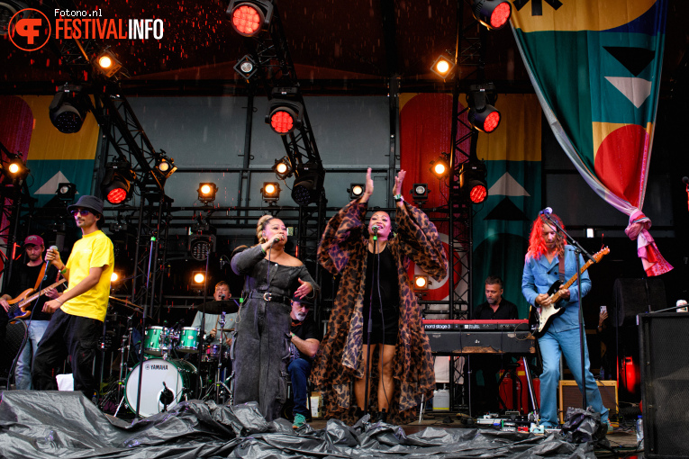 De Niemanders op Down the Rabbit Hole 2025 - Zondag foto
