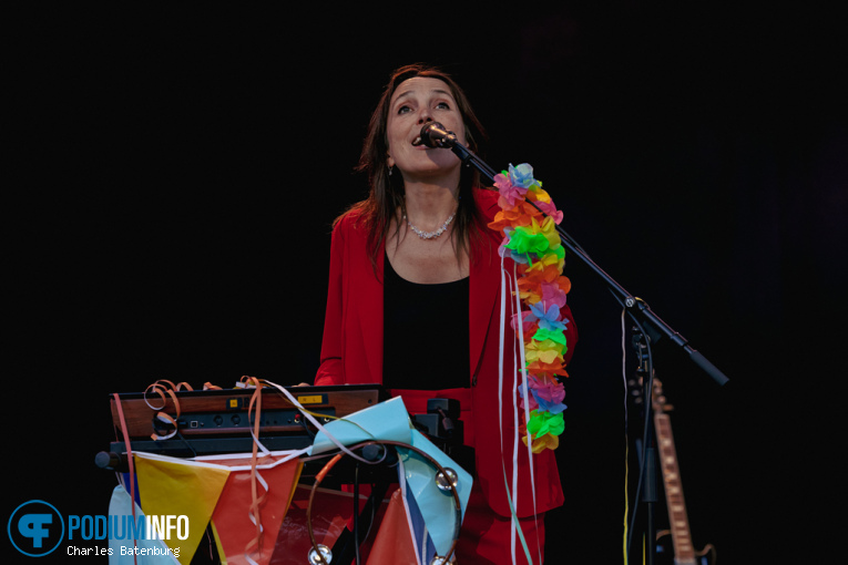 Spinvis op Zuiderpark Live: Spinvis - 03/07 - Zuiderparktheater foto