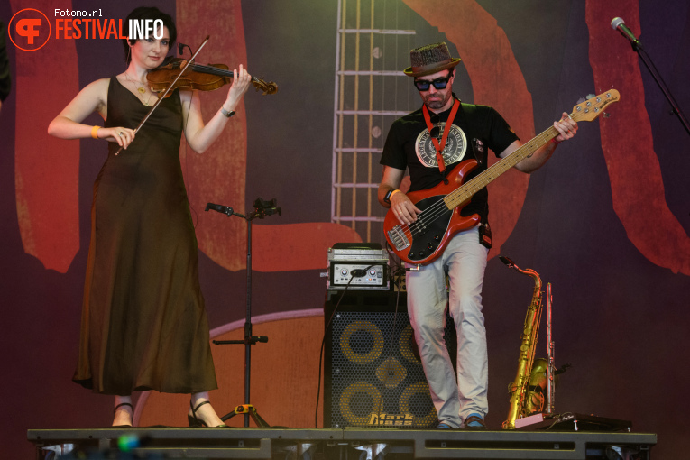 Ray Wilson op Bospop 2025 - Zondag foto