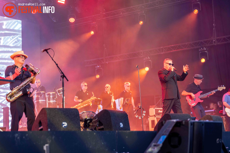 Madness op Zwarte Cross Festival 2025 - Vrijdag foto