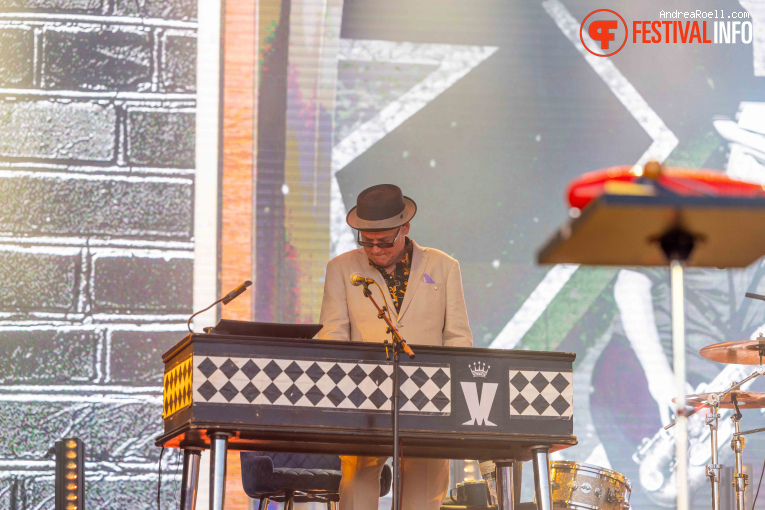 Madness op Zwarte Cross Festival 2025 - Vrijdag foto