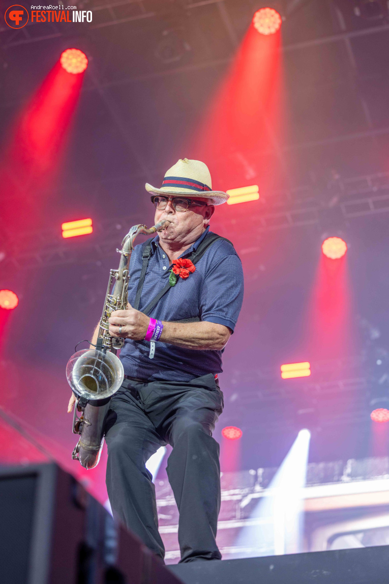 Madness op Zwarte Cross Festival 2025 - Vrijdag foto