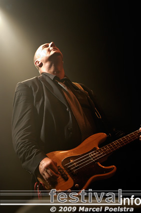 Triggerfinger op Vlaamse Reuzen Hollandse Leeuwen 2009 foto