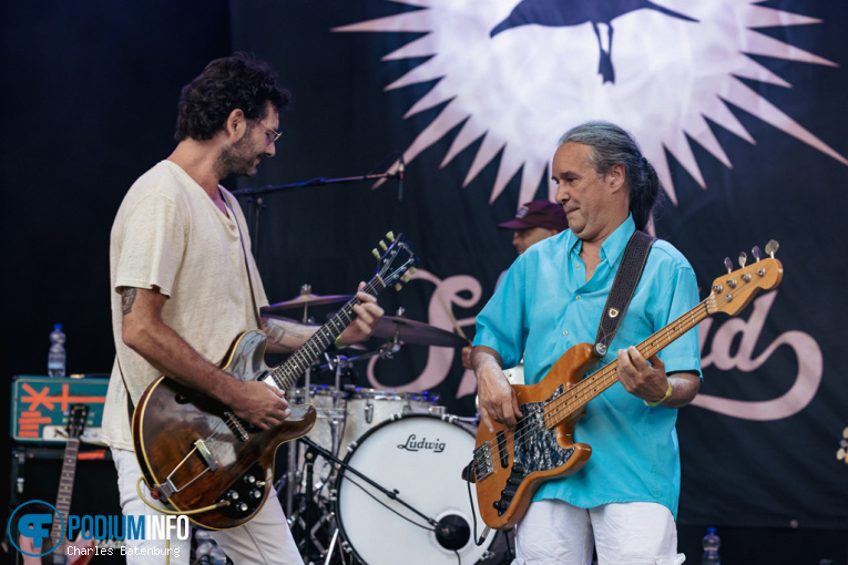 Splendid op Zuiderpark Live: Splendid - 18/07 - Zuiderparktheater foto