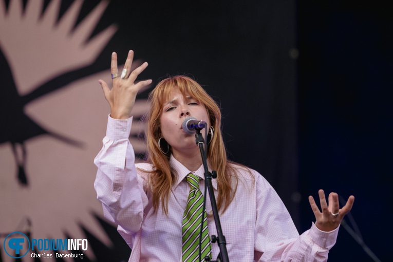Unstable Rosie op Zuiderpark Live: Splendid - 18/07 - Zuiderparktheater foto