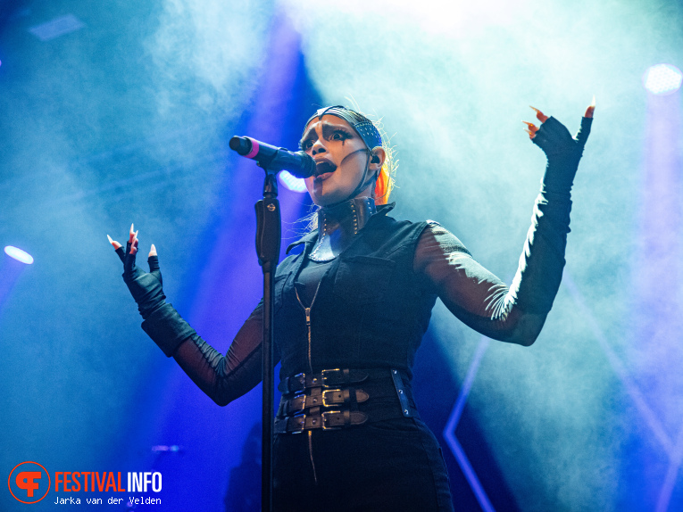 Skynd op Amphi Festival 2025 foto